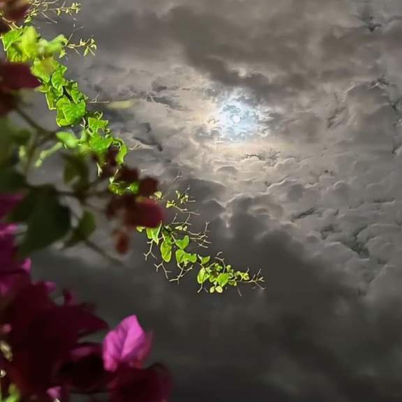 عہۣۗشہۣۗق