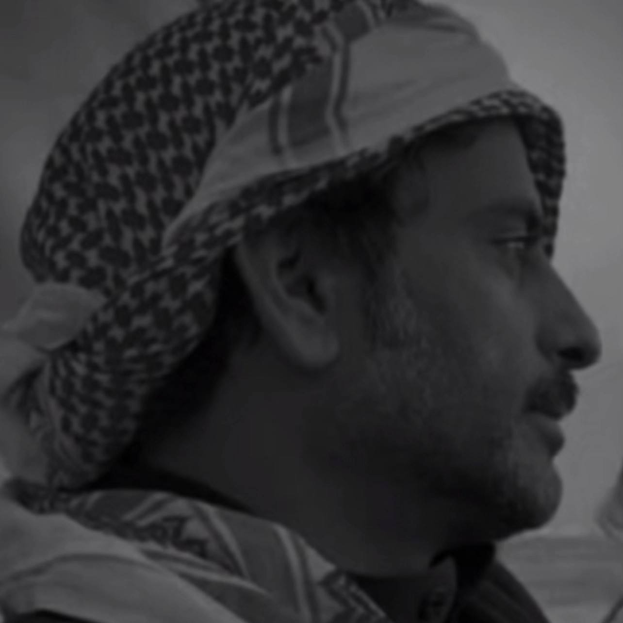 آل قصيد