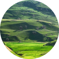 معاذ فارس عوض