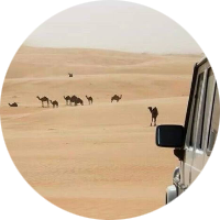 جٍفَـآ