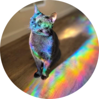 شَ☆𝐒𝐇ˡˡ